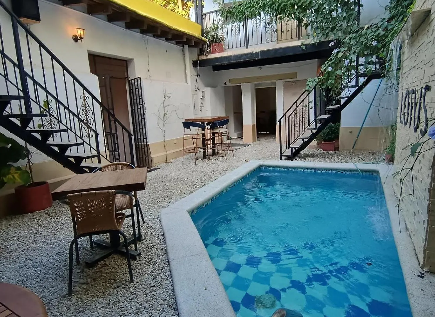 Lotus Central Hotel Santa Marta  Colombia