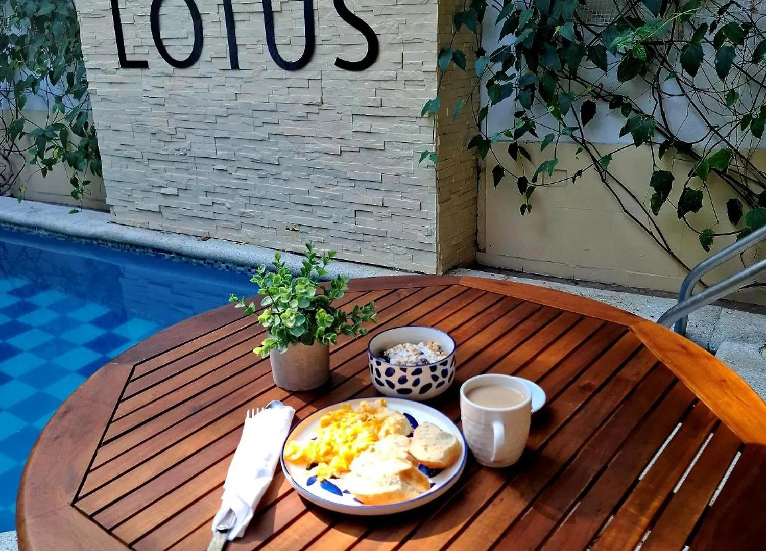 Lotus Central Hotel Santa Marta  Colombia