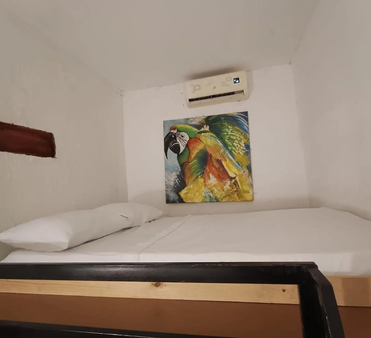 Lotus Central Hotel Santa Marta  Santa Marta (Magdalena)