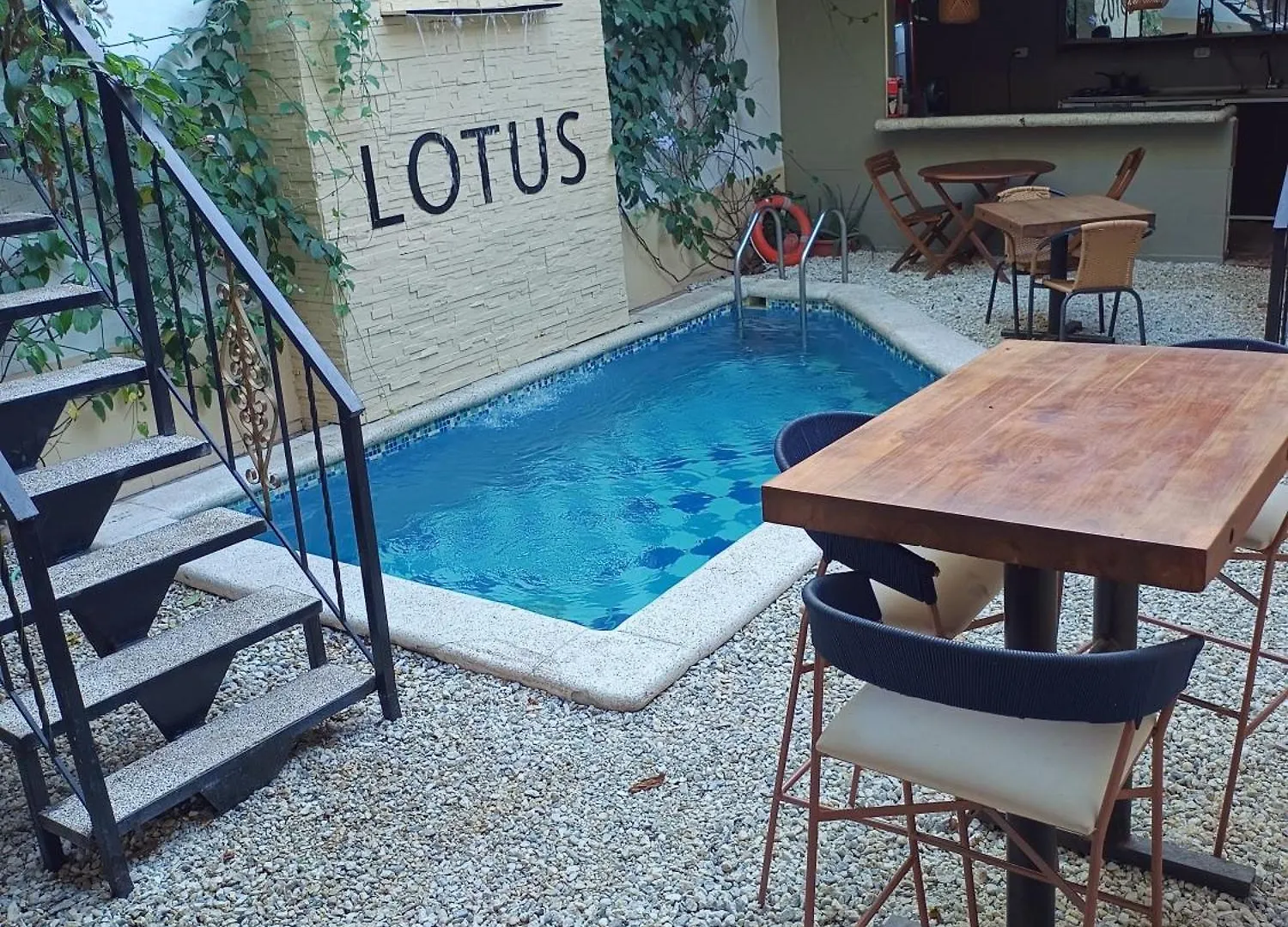 Lotus Central Hotel Santa Marta  Colombie